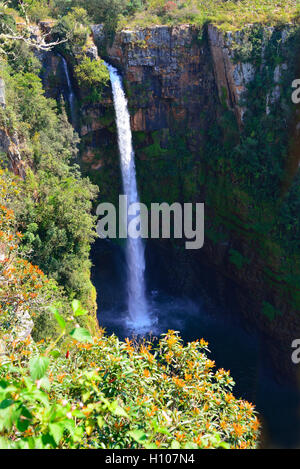 Les chutes Mac Mac est une chute d'eau et un monument national sur le fleuve Mac Mac Mac à Mpumalanga, sur la pittoresque route panoramique, en Afrique du Sud Banque D'Images