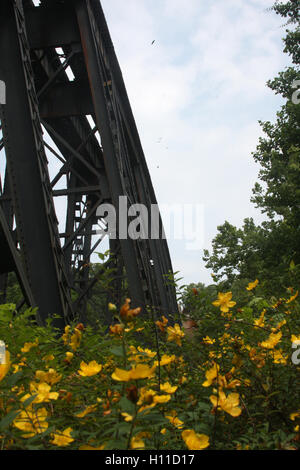 Pont de chemin de fer à travers le parc Hollins Mill à Lynchburg, Virginie, États-Unis Banque D'Images