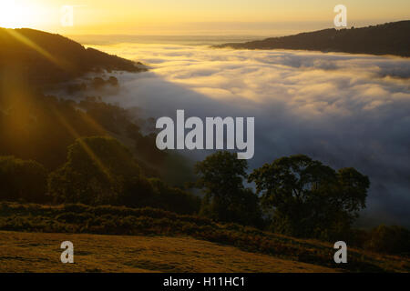 Morning Mist sur Llangollen Banque D'Images