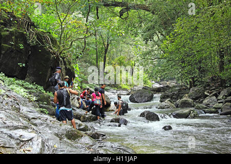 Les randonneurs prennent une pause pendant le trekking le long de la rivière dans les banques d'Salaulim Netravali à Goa, pendant la saison des pluies de mousson. Banque D'Images