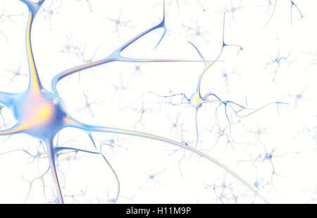 Les neurones dans le cerveau sur fond blanc avec l'accent d'effet. Le rendu 3D Banque D'Images