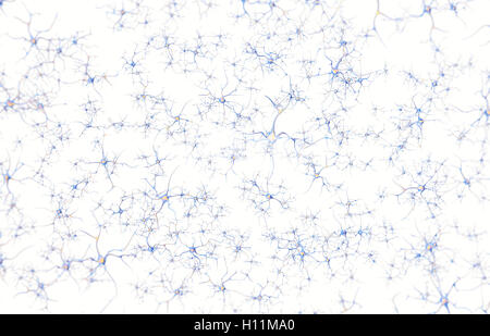 Les neurones dans le cerveau sur fond blanc avec l'accent d'effet. Le rendu 3D Banque D'Images