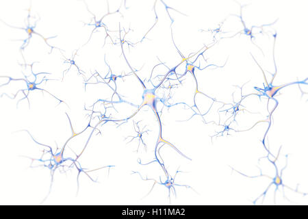 Les neurones dans le cerveau sur fond blanc avec l'accent d'effet. Le rendu 3D Banque D'Images