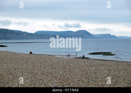 Une vue sur Golden Cap et Charmouth un soir d'été de la plage vide de pierres à Lyme Regis à Dorset, Angleterre KATHY DEWITT Banque D'Images