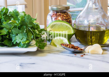 Mexican food ingredients dans une cuisine sur un dessus marbre . La coriandre les flocons de poivron rouge huile d'olive l'ail lime Banque D'Images