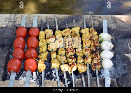 Barbecue poulet iranienne avec l'oignon et plutôt froid dans le parc Banque D'Images