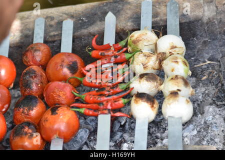 Barbecue poulet iranienne avec l'oignon et plutôt froid dans le parc Banque D'Images