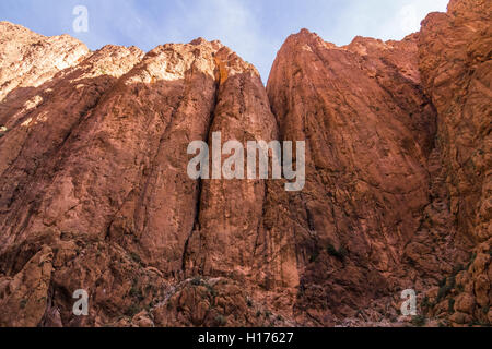 La paroi verticale de roches rouges au Maroc en Afrique. L'endroit idéal pour l'escalade canyon Todra Banque D'Images