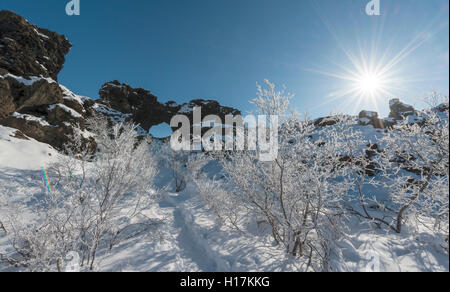 Soleil sur les buissons neigeux, champ de lave couvert de neige, Krafla système volcanique, Dimmuborgir, Parc National de Mývatn, Islande Banque D'Images