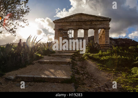 Temple dorique grec ancien site archéologique de Segesta, Sicile Banque D'Images