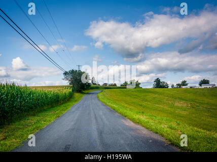 Dans les régions rurales de la route de comté de Baltimore, Maryland. Banque D'Images