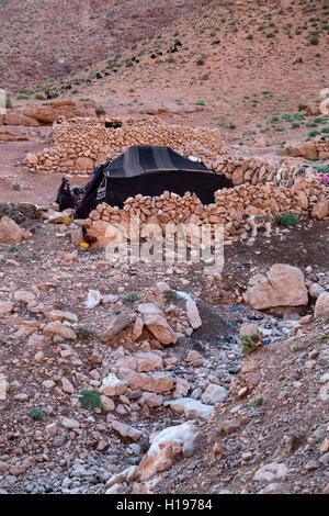 Gorges de Todra, le Maroc. Tente berbère Amazigh et de saison de camping. Note des moutons paissant sur la colline en arrière-plan. Banque D'Images