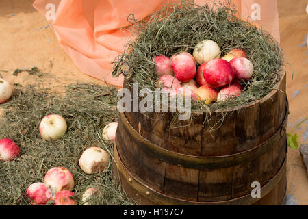 La récolte fraîche de pommes rouges allongés sur l'herbe Banque D'Images