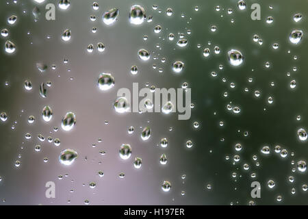 Grosse goutte d'eau sur la vitre un arrière-plan flou Banque D'Images