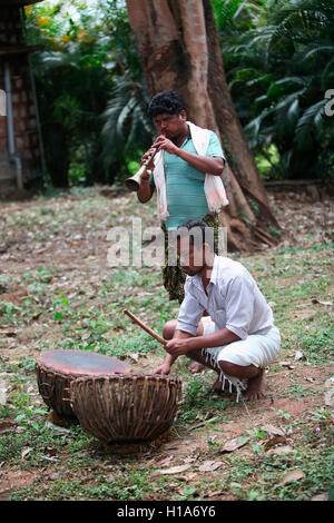 Les musiciens à jouer de la batterie et de shehnai, danteshwari chattisgarh, locaux, Inde Banque D'Images