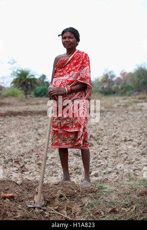 Femme travaillant dans le secteur tribal, tribu muria, chorangi chattisgarh, village, Inde Banque D'Images