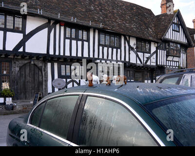 Chilham, Kent, UK 23 Septembre, 2016. Les habitants du village s'est réveillé à l'éléphant. Jouets et des ornements de l'éléphant de nuit avaient été placées autour du village ; sur les murs, les clôtures, les toits de voiture, portes et en fleurs. Il y a des centaines autour du village. Certains ont écrit des numéros sous eux, le plus grand nombre trouvé jusqu'ici est 936. Sur la place du village, les voitures en stationnement avaient mis sur leurs toits de éléphants. Credit : Susanne Masters/Alamy Live News Banque D'Images