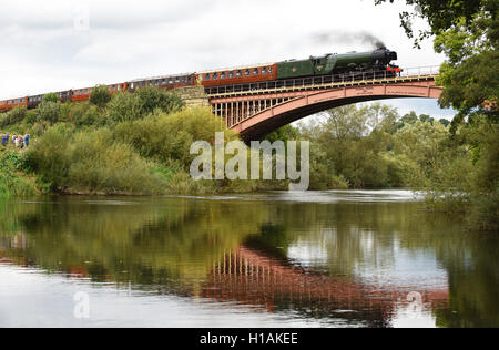 Arley, Shropshire, au Royaume-Uni. 23 Septembre, 2016. The Flying Scotsman traversant la rivière Severn sur le pont Victoria à Arley dans le Shropshire. La célèbre locomotive est le transport de passagers sur la Severn Valley Railway aujourd'hui et pendant la fin de semaine. Crédit : David Bagnall/Alamy Live News Banque D'Images