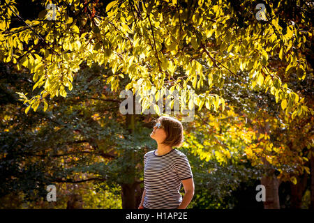 Londres, Royaume-Uni. 23 Septembre, 2016. Météo France : la lumière et les couleurs d'Automne dans le centre de Londres parcs Crédit : Guy Josse/Alamy Live News Banque D'Images