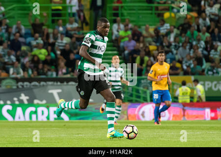 Portugal, Lisbonne, Septembre 23, 2016 - Portugais - FOOTBALL William Carvalho en action au cours de portugais Première League entre Sporting et Estoril à Alvalade XXI Stadium, à Lisbonne, Portugal. Crédit : Bruno de Carvalho/Alamy Live News Banque D'Images