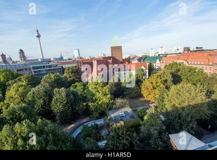 Berlin, Allemagne. 22 Sep, 2016. L'ancienne enceinte de la ville de Berlin bear Schnute, appelé "Baerenzwinger', à Berlin, Allemagne, 22 septembre 2016. PHOTO : LINO MIRGELER/dpa/Alamy Live News Banque D'Images