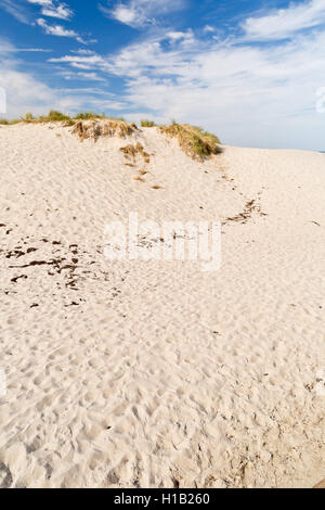 Warnemünde, Schleswig-Holstein, Allemagne - dunes de sable de la plage Banque D'Images