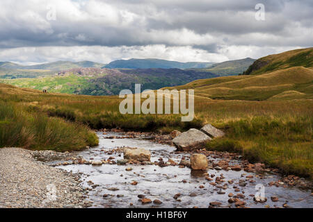 Peu d'Gatesgarthdale et Hause Gill à Borrowdale et Helvellyn vers, Lake District, Cumbria, Angleterre Banque D'Images