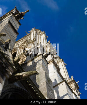 Fragment de façade catholique gothique Cathédrale Notre Dame de Paris, France Banque D'Images