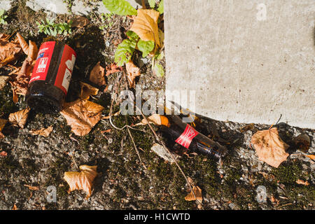 Une bouteille de bière Budweiser cassée Banque D'Images