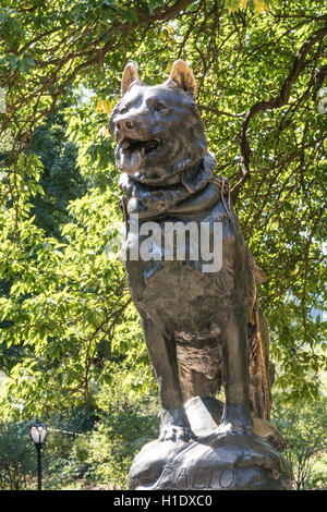 Statue de chiens de traîneau, Balto, dans Central Park, NYC Banque D'Images