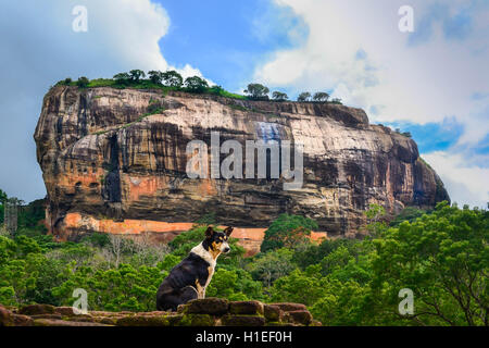 La forteresse du Rocher de Sigiriya, UNESCO World Heritage Site, vu de Pidurangala Rock, Sri Lanka, Asie Banque D'Images