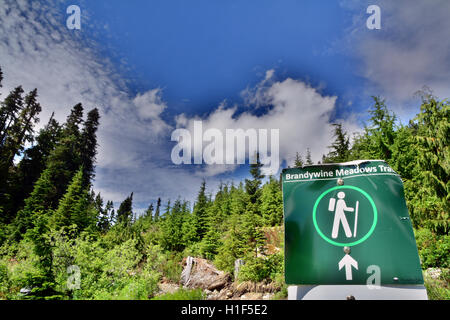 Une belle journée de randonnée pédestre à travers les montagnes Brandywine pré, Whistler, BC, Canada Banque D'Images