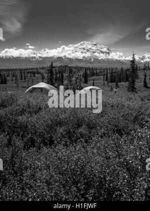 Avis de Denali, la Merveille de l'étonnant lac Camping, le parc national Denali, en Alaska. Banque D'Images