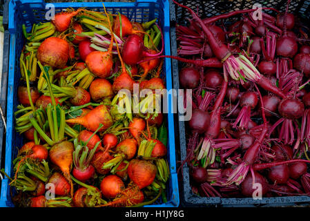 Rote Beete, rote und gelbe Rueben, Frisch, biologisch geerntet Banque D'Images