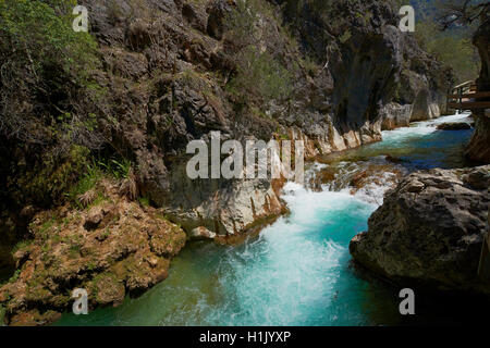 Cerrada de Elias, Gorge, rivière Borosa Sierra de Cazorla, Segura et Las Villas, Parc Naturel de la province de Jaén, Andalousie, Espagne Banque D'Images