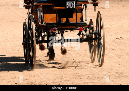 Transport combiné, conduite, sport équestre, faisceau Banque D'Images