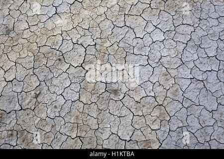 Surface de l'argile séchée, mudcracks dans la masse, Crete Senesi, Province de Sienne, Toscane, Italie Banque D'Images