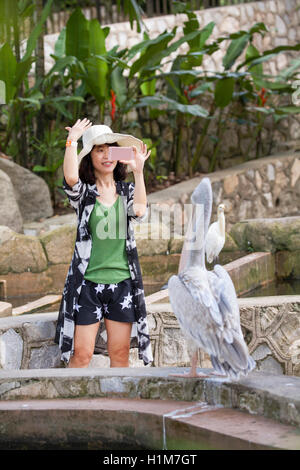 Touriste japonais photographier un oiseau sur la KL Bird Park à Kuala Lumpur, en Malaisie, à l'aide de son smartphone. Banque D'Images