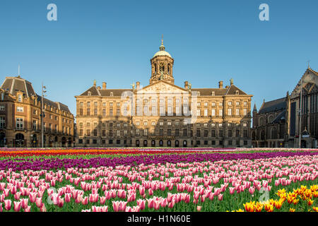 Tulip National journée à la place du Dam avec le Palais Royal sur l'arrière-plan à Amsterdam, Pays-Bas. Banque D'Images