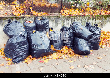 Pile de sacs à déchets en plastique noir plein de feuilles jaunes à l'automne Banque D'Images