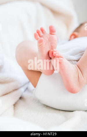 3 mois baby girl's feet. Banque D'Images