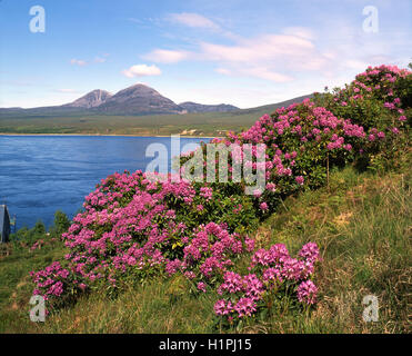 Paps of Jura de Port Askaig, Islay Banque D'Images