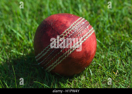 Le Cricket ball on grass close up Banque D'Images
