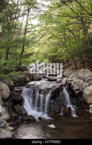 Petit et Rocky River et cascade dans la forêt, à la montagne Jangsan à Busan, Corée du Sud. Banque D'Images