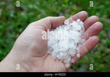 Beaucoup de grêlons dans ma main après la tempête Banque D'Images