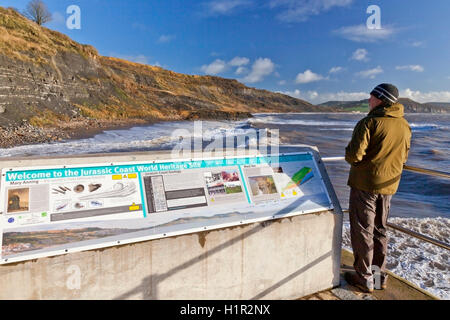 Une commission d'information de la côte jurassique sur le nouveau mur de la mer Noire et le dessous de Venn crachats à Lyme Regis, Dorset, England, UK Banque D'Images