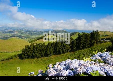 Les collines volcaniques sur l'île de São Miguel, Açores, Portugal Banque D'Images