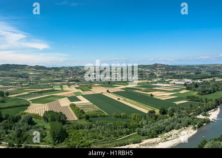 Des champs et des vignes dans la région de Barbaresco, Alba, Italie Banque D'Images