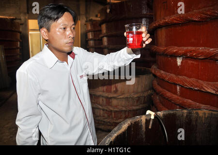 Phu Quoc, Vietnam - Août 19, 2013 : Un expert est de vérifier la qualité de l'échantillon de la sauce de poisson qui est une sauce traditionnelle dans Banque D'Images