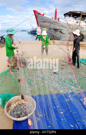 Quang Ngai, Vietnam - 31 juillet 2012 : les pêcheurs sont l'élimination de leurs filets de poisson anchois à commencer une nouvelle journée de travail à Ly Fils Banque D'Images